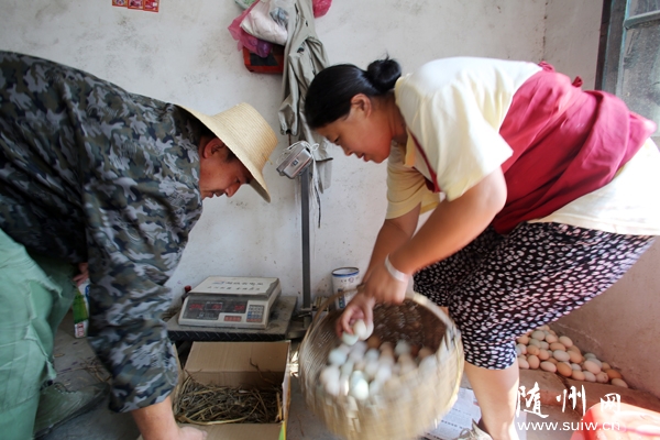 �S�h�f���(zh��n)�Mɽ���r������ɽ���YԴ�l(f��)չ�B(y��ng)�u�a�I(y��)