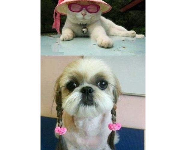 �@���������^�ĳ��l(xi��ng)��e����