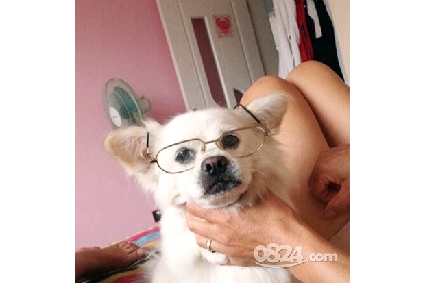 �@������ģ����