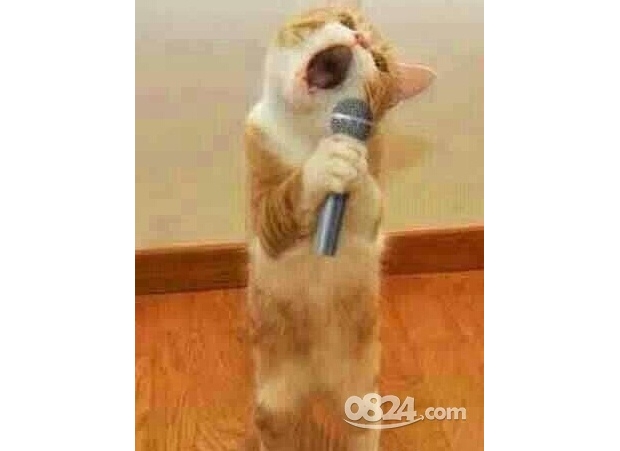 ֻҪ���^�ñ��Һ�