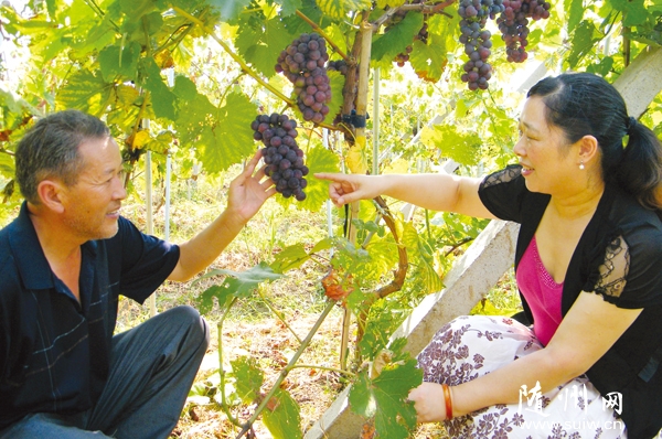 �S�h��ɽ�(zh��n)�hί̖�ٸɲ���������c�����r(n��ng)������