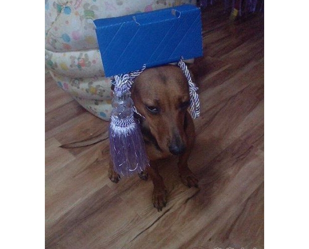 ���˰��Ҵ����u�����뮔��