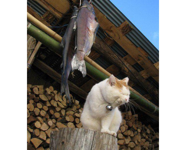 �����~��������