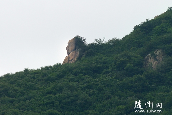 �SС��·�ݵ������Ζ|��(c��)ɽ�X����һ�K��ʯ�����ƹ��˰�������