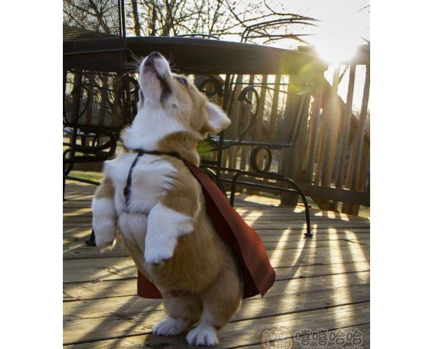 �Ҽҹ����˻���Y