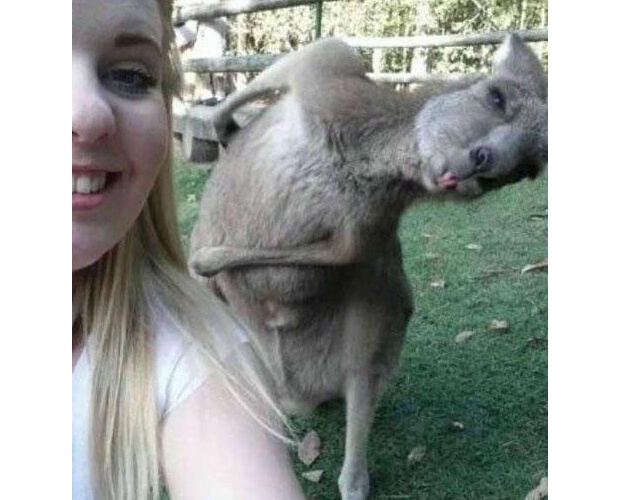 ���I(y��)���Rһ����