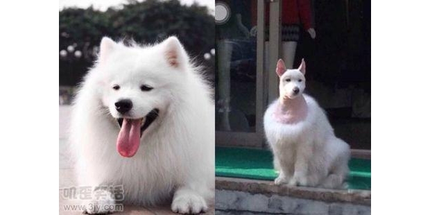 �l(f��)���䌍(sh��)Ҳ�Ǻ���Ҫ�ģ�