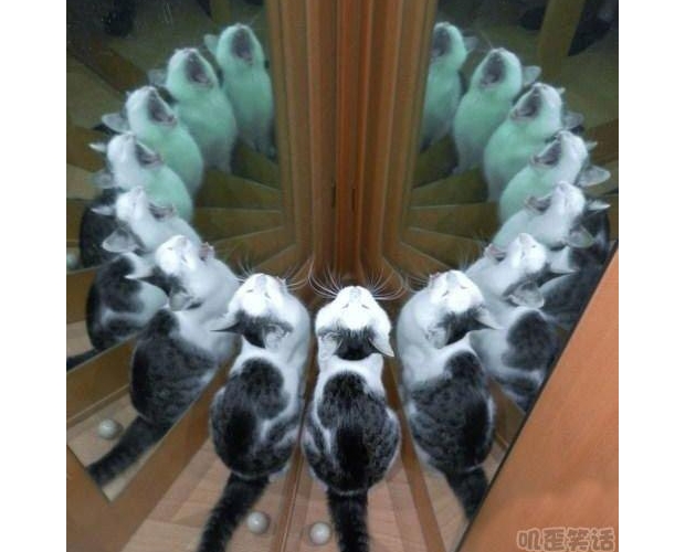 �����˵��ڽ̃xʽ