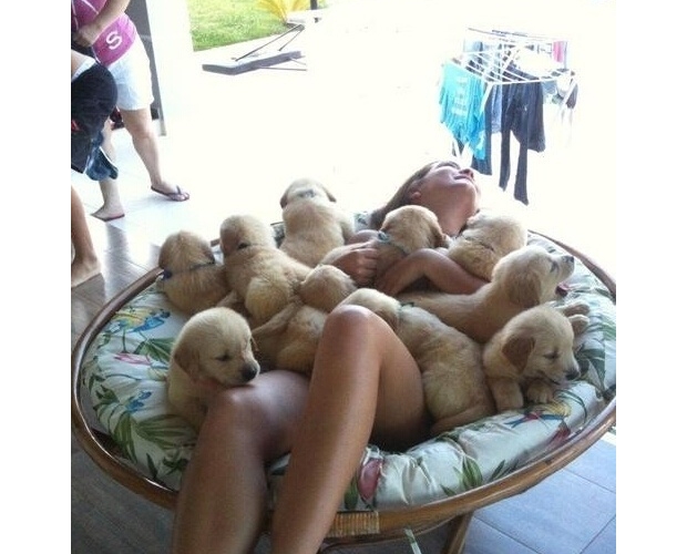 �ѹ���ô߀�o��