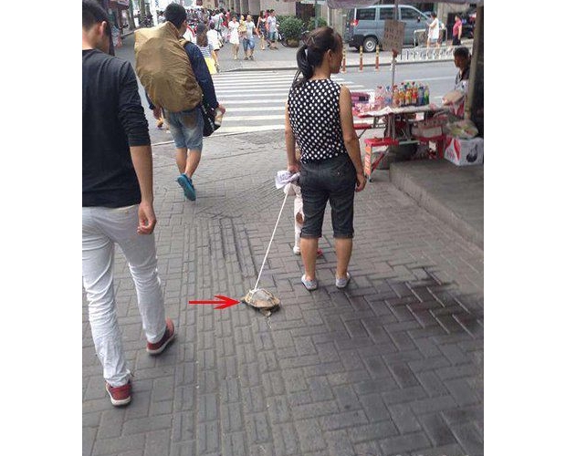 �����������m