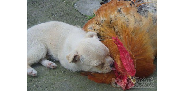 �l(f��)�F(xi��n)�����ِ���