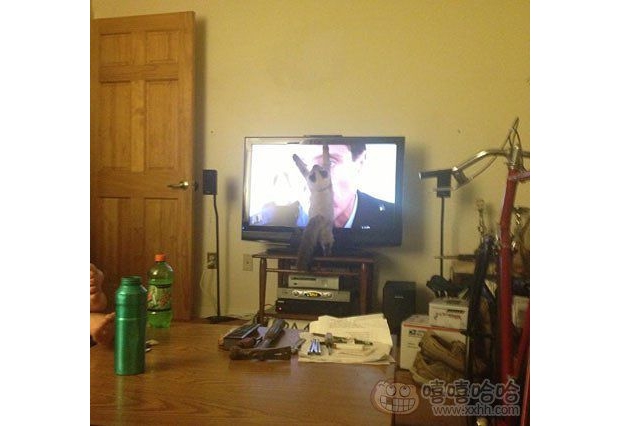 ż���n����������