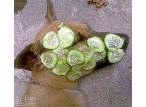 �с��Ҿ͕�ˮˮ���۵��˰���