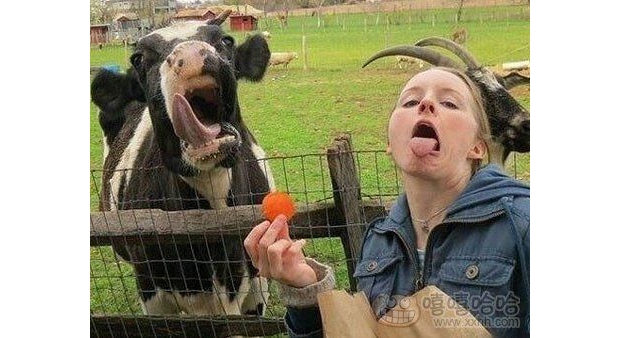 ��z����ɶ������