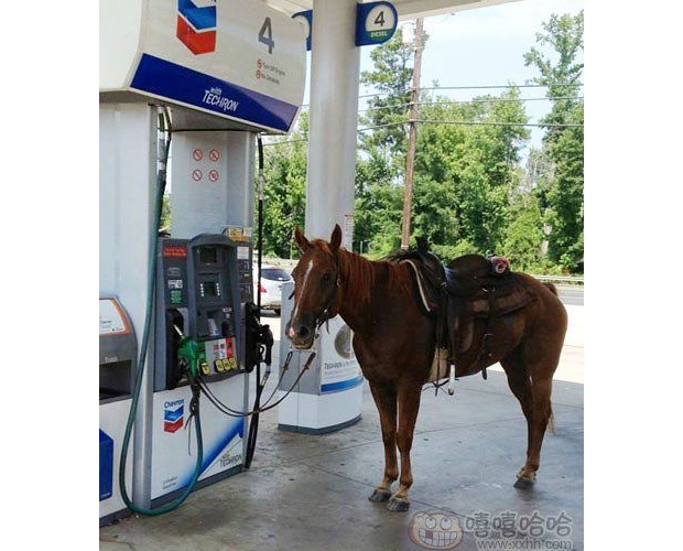 �͹������@���R�ӝM����