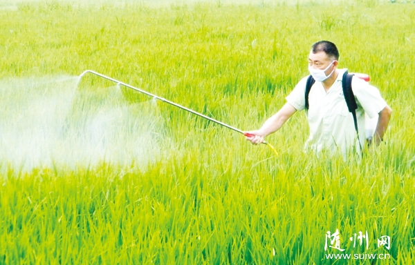 �S�h�r(n��ng)�����r(n��ng)���ˆTָ���r(n��ng)��ƌW���β��x��