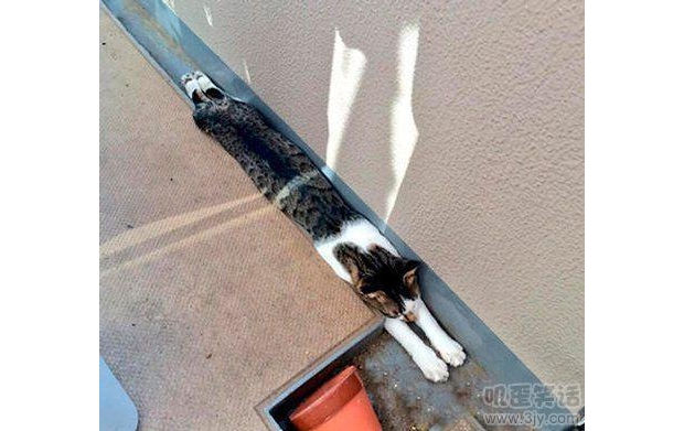 ��(j��)�f�@��˯�X�����Ա��փ�(y��u)����������