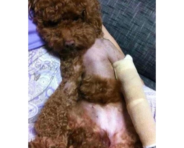 ����Ó�·��ĸ��X�治��