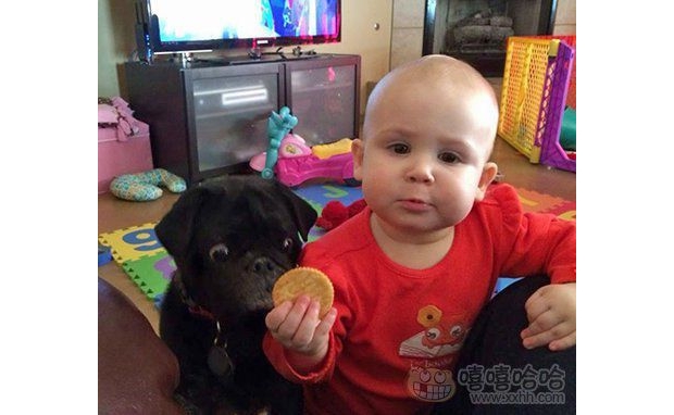 ��׌����һ�ºÆ�