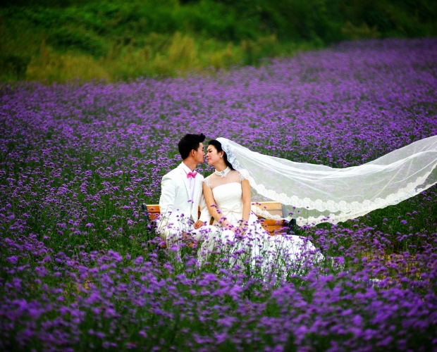 �����zӰ����