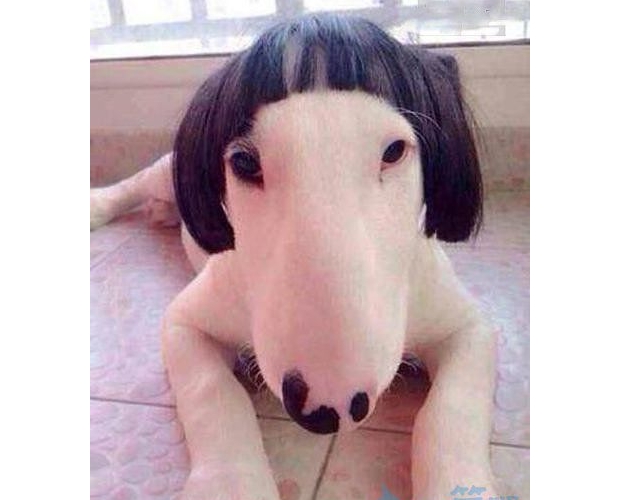 ����Q��(g��)����