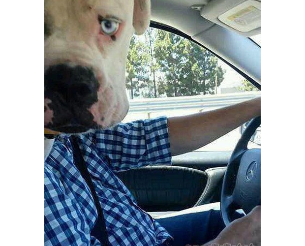 ��֪���Լ���������͵����