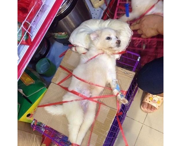 �F�t(y��)��(ji��n)ֱ�Kˇ�^��������һĘ���o�ɑ���