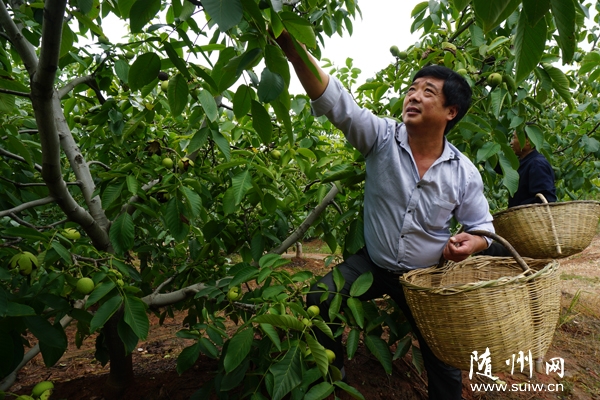 �S�h�^��r��Ƽ�ʾ��������܊�������@�����غ��ҷNֲ���g