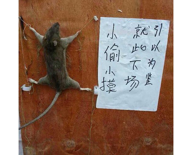 �����������²�������