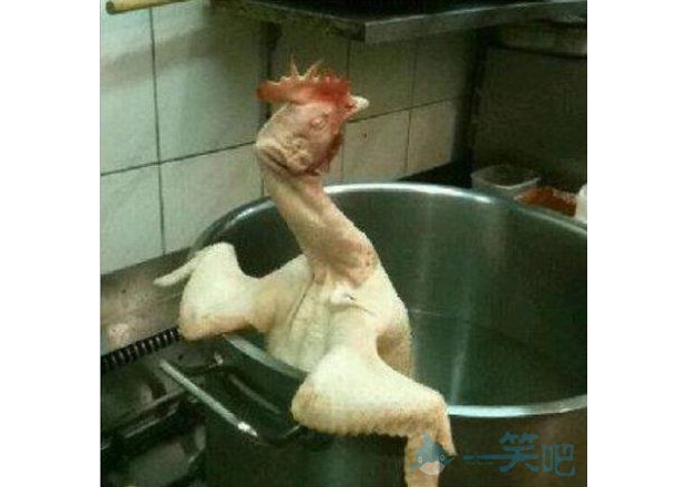 ϴ��(g��)�������