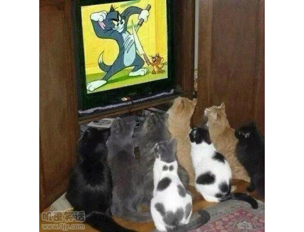 �@Щ�������@��Ҫ�ɾ��ˆ���