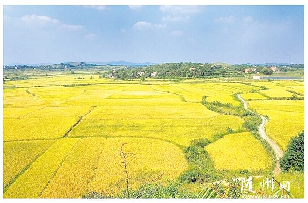 ����һ��(g��)�S����