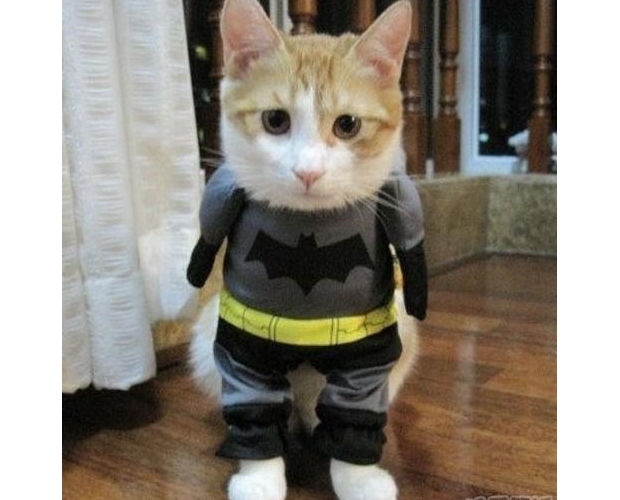 ��Ҫȥ���ȵ�����