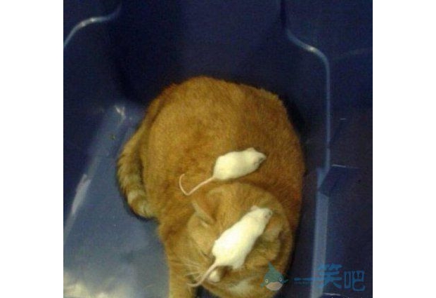 �F(xi��n)�ڵ�����đ�����