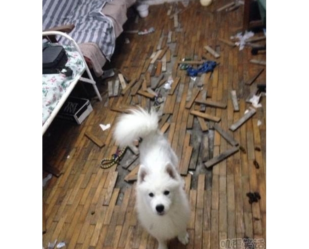 ���f����ȫ���ۜI��