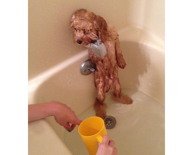 ���첻�ǲ�ϴ�^�ᣬ������ô��Ҫϴ��