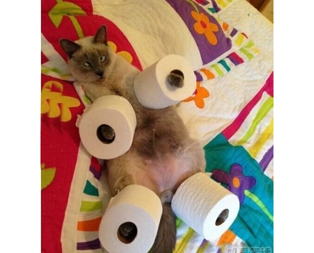 �����^���ҿ��_����