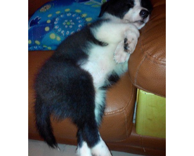 ������˯���X���Ҫ�@ô����