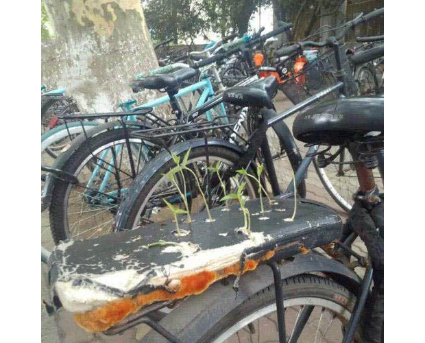 �@���l�N�µ����K�ڰl(f��)ѿ����