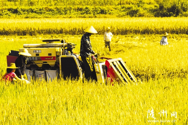 �����^(q��)����(zh��n)�r(n��ng)�������������_��ո�