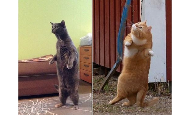 ��(d��ng)�����ˌW(xu��)��վ�������ú�������