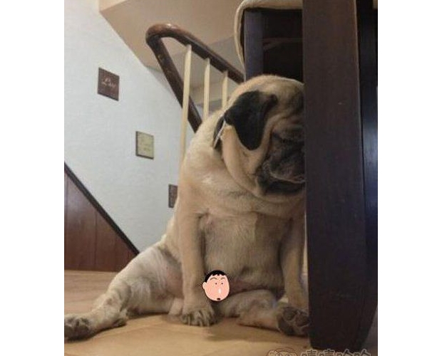 С�����e���������Ñnɣ