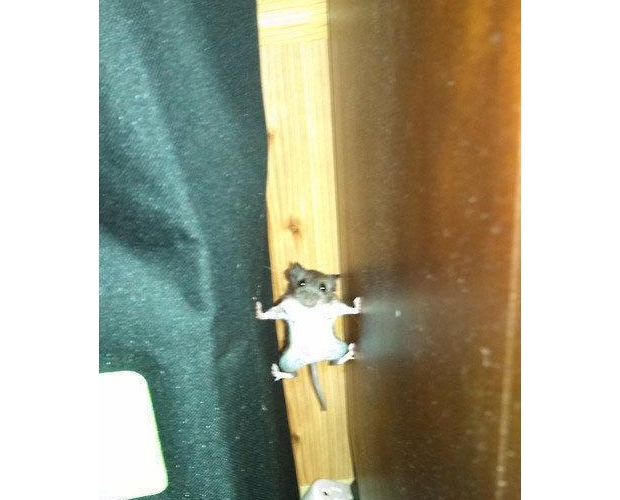 ��������l(f��)�F(xi��n)����