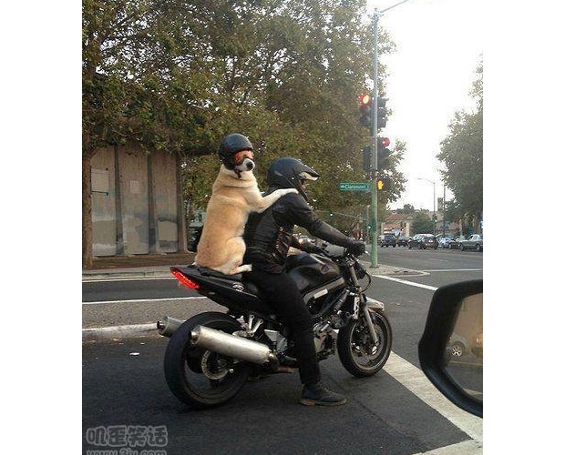 ��ʲô���]Ҋ�^�������