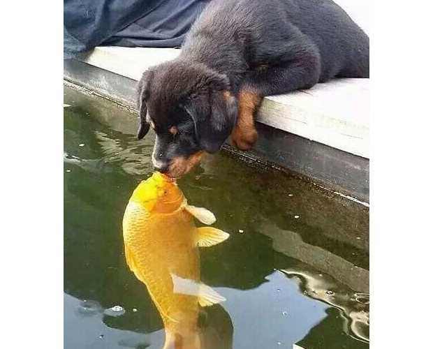 �@һ�ǿ��^�N�壬�������綼���o��