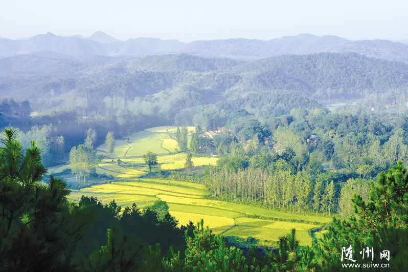 �����ﾰ���箋