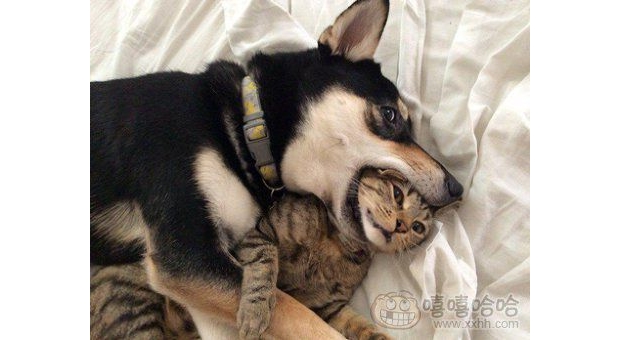 ���o���Z���ɾ�˺Ʊ����