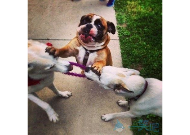 ÿ��(d��ng)���ѳ��ܕr(sh��)�Ҿ��@�ӄ���