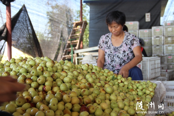 �Vˮ�Б�(y��ng)ɽ�ֵ��k��̎�ڻ��_���200������ϲ�@�S��