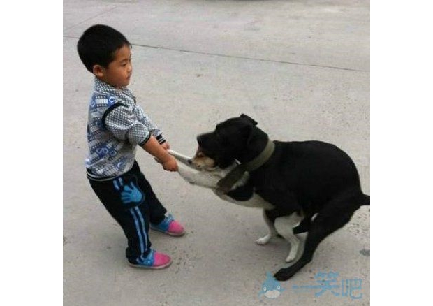 �ĵ�����Ҫ����Ů����